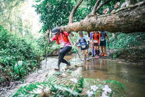 BIB: 
                            <button type="button" onclick="openModal(25474810)" class="btn btn-primary btn-sm float-right btn-popup" data-toggle="modal" data-target=".modal-high-quality">
                        <i class="fas fa-shopping-cart"></i> Add to Cart
                    </button>
                                            <button type="button" onclick="isThisMe(25474810, true)" class="btn btn-success btn-sm float-right btn-popup btn-isme hidden" data-toggle="tooltip" data-placement="bottom" title="นี่คือรูปของคุณใช่ไหม คลิกที่นี่เพื่อเอาเข้าอัลบั้ม">
                        <i class="fas fa-plus"></i> Add to album
                    </button>
                    <button type="button" onclick="isThisMe(25474810, false)" class="btn btn-warning btn-sm float-right btn-popup btn-isnotme hidden">
                        <i class="fas fa-ban"></i> Remove from album
                    </button>